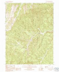 Tepee Canyon 1991 topographic map thumbnail