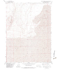 Terrace Mountain East 1983 topographic map thumbnail