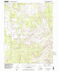 The Guardian Angels 1996 topographic map thumbnail