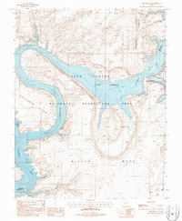 The Rincon 1987 topographic map thumbnail
