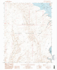 The Rincon NE 1987 topographic map thumbnail
