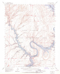 The Rincon 1953 topographic map thumbnail