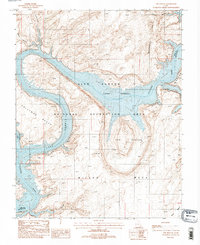 The Rincon 1987 topographic map thumbnail