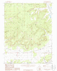 Thompson Point 1987 topographic map thumbnail