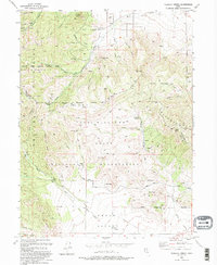 Tickville Spring 1993 topographic map thumbnail