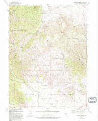 Tickville Spring 1993 topographic map thumbnail