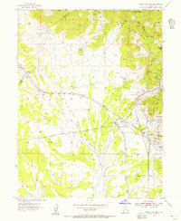 Tintic Junction 1954 topographic map thumbnail