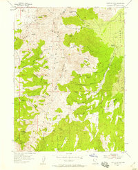 Tintic Mountain 1954 topographic map thumbnail