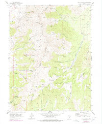 Tintic Mountain 1954 topographic map thumbnail