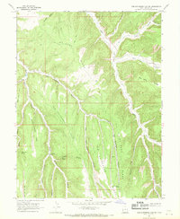 Tom Patterson Canyon 1966 topographic map thumbnail