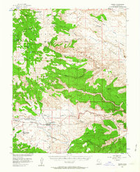 Torrey 1952 topographic map preview