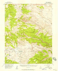 Torrey 1952 topographic map preview
