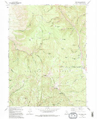 Twin Peaks 1994 topographic map thumbnail