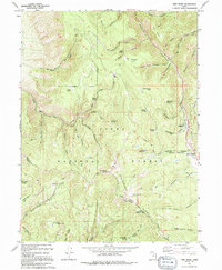 Twin Peaks 1994 topographic map thumbnail