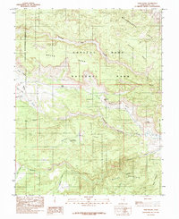 Twin Rocks 1985 topographic map preview