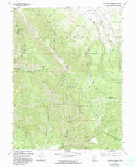 Wallsburg Ridge 1993 topographic map thumbnail