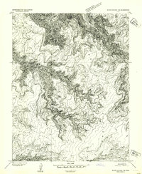 White Canyon 1 NE topographic map thumbnail