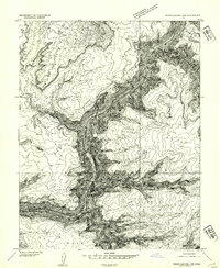 White Canyon 1 NW topographic map thumbnail