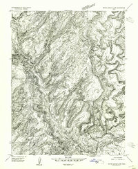 White Canyon 2 NW topographic map thumbnail