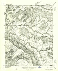 White Canyon 4 NW topographic map thumbnail
