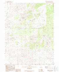 White Mountain 1989 topographic map thumbnail