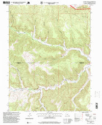 Wood Canyon 1996 topographic map thumbnail