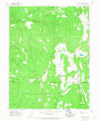 Woods Lake 1965 topographic map thumbnail