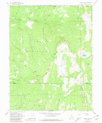 Woods Lake 1965 topographic map thumbnail