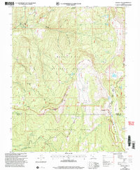Woods Lake 2001 topographic map thumbnail