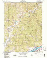 Belmont 1994 topographic map thumbnail