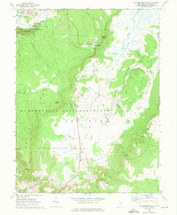Blackwater Falls 1968 topographic map thumbnail