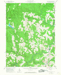 Bruceton Mills 1960 topographic map thumbnail
