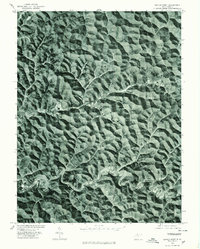 Center Point 1976 topographic map thumbnail