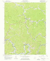 Delbarton 1963 topographic map thumbnail