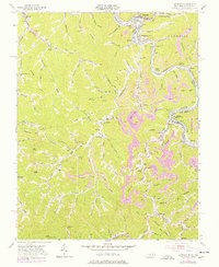 Matewan 1954 topographic map thumbnail