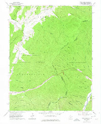 Paddy Knob 1961 topographic map thumbnail