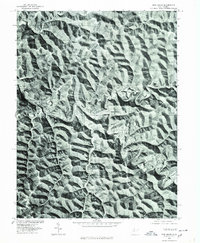 Pine Grove 1976 topographic map thumbnail