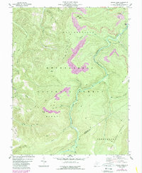 Snyder Knob 1974 topographic map thumbnail