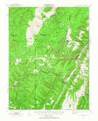 Spruce Knob 1922 topographic map thumbnail