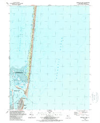 Barnegat Light 1989 topographic map thumbnail