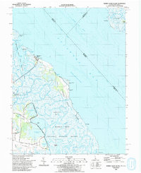 Bombay Hook Island 1993 topographic map thumbnail