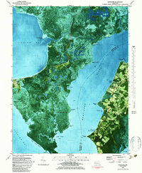 Nanticoke 1983 topographic map thumbnail