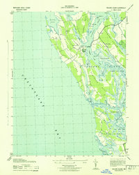 Taylors Island 1943 topographic map thumbnail