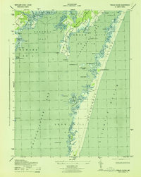 Tingles Island 1943 topographic map thumbnail