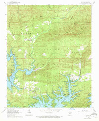 Avant 1962 topographic map thumbnail