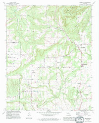 Bee Branch 1991 topographic map thumbnail