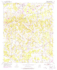 Blevins 1951 topographic map thumbnail