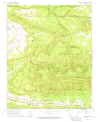 Blue Mountain 1966 topographic map thumbnail