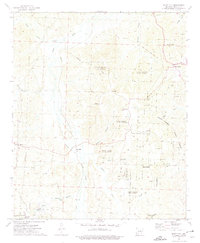 Bluff City 1973 topographic map thumbnail