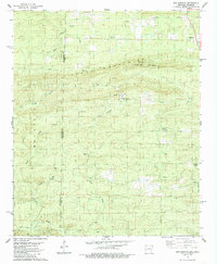 Bog Springs 1985 topographic map preview